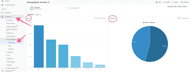 Report Demografi Google Analytics Enable